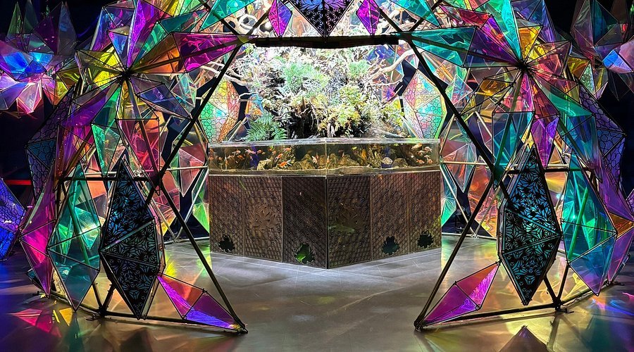 🐠 나라 금붕어 박물관 (나라 킹교 뮤지엄) 이미지 5